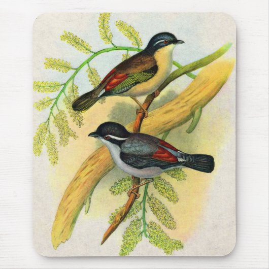  vogelprint muismat (Voorkant)