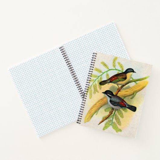  vogelprint notitieboek (Binnen)