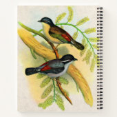  vogelprint notitieboek (Achterkant)