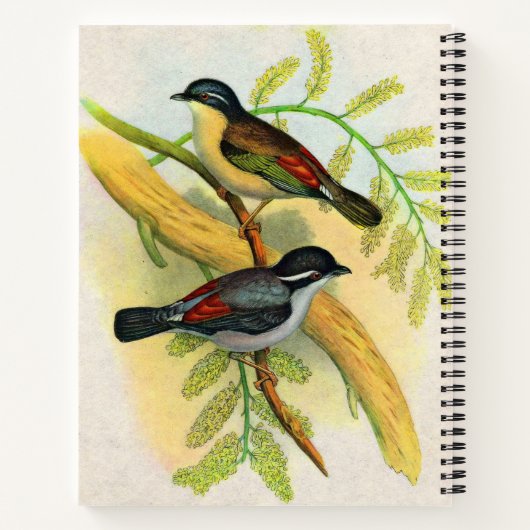  vogelprint notitieboek (Achterkant)