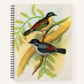  vogelprint notitieboek (Voorkant)