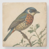 Vogelprint Stenen Onderzetter (Voorkant)