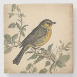  Vogelprint Stenen Onderzetter