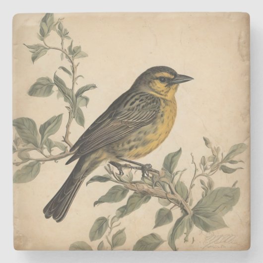  Vogelprint Stenen Onderzetter (Voorkant)