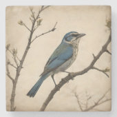  Vogelprint Stenen Onderzetter (Voorkant)