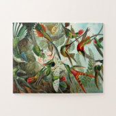 Vogelpuzzel Legpuzzel (Horizontaal)