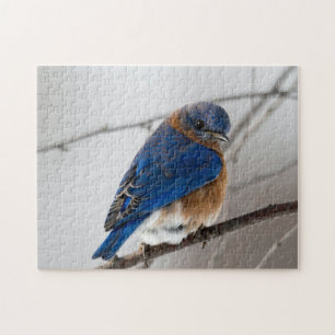 Vogelpuzzels Foto beste foto's in het wild Legpuzzel