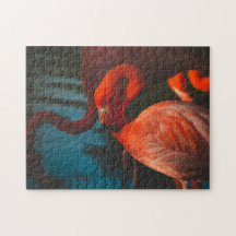 Vogelpuzzels Foto beste foto's in het wild