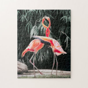 Vogelpuzzels Foto beste foto's in het wild Legpuzzel