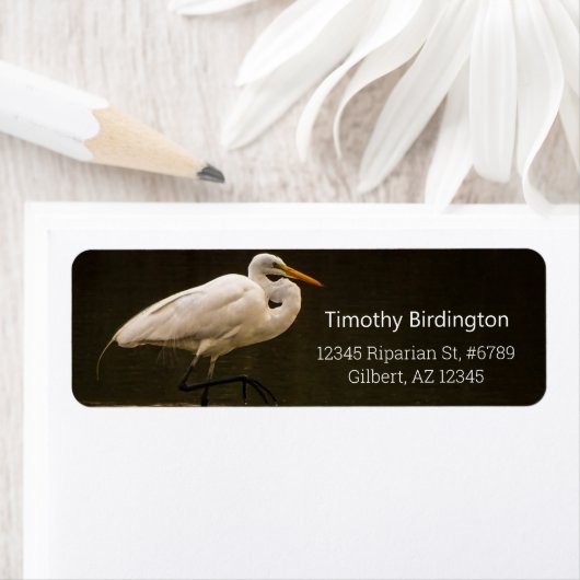 Vogelreflectie in het algemeen in het wit, in het  etiket (Insitu)