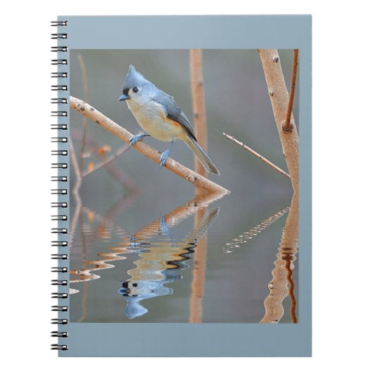 vogelreflecties notitieboek (Voorkant)