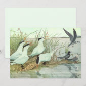 Vogelrijke Oevervogels in een Moeras van Louis Fue Kaart (Voorkant / Achterkant)