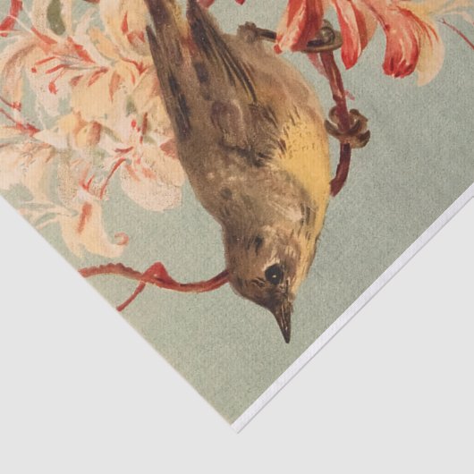  vogelroze bloemen bloemen tissuepapier (Detail)