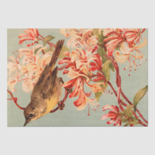  vogelroze bloemen oude illustratie tissuepapier