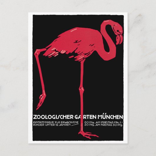  vogelroze flamingo in de Duitse dierentuin Münche Briefkaart (Voorkant)