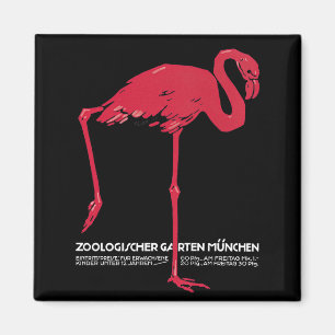  vogelroze flamingo in de Duitse dierentuin Münche Magneet