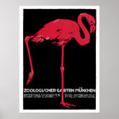vogelroze flamingo in de Duitse dierentuin Münche Poster (Voorkant)