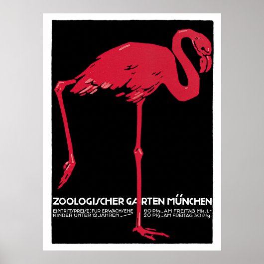  vogelroze flamingo in de Duitse dierentuin Münche Poster (Voorkant)