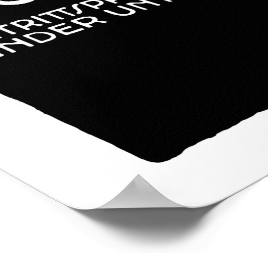  vogelroze flamingo in de Duitse dierentuin Münche Poster (Hoek)