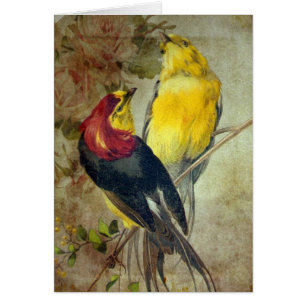vogels