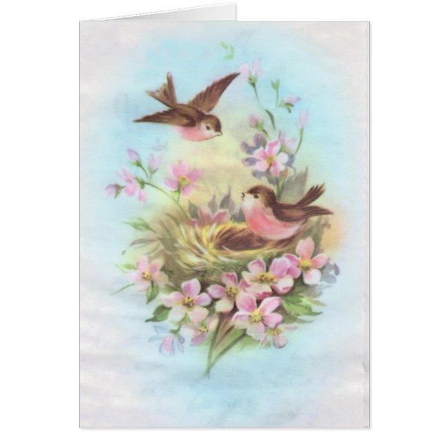  vogels (Voorkant)