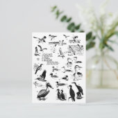 Vogels 12 briefkaart (Staand voorkant)