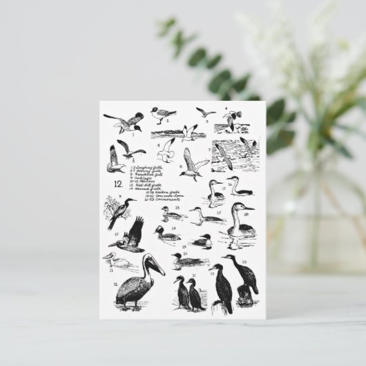 Vogels 12 briefkaart (Staand voorkant)