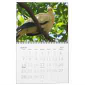 Vogels 2011 kalender (Mar 2027)