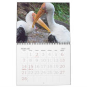 Vogels 2011 kalender (Feb 2027)
