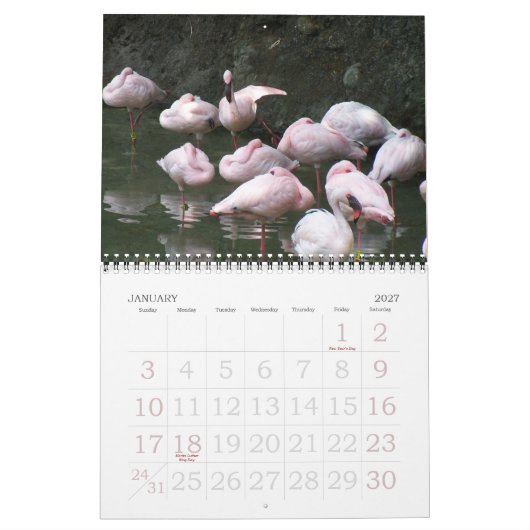 Vogels 2011 kalender (Jan 2027)