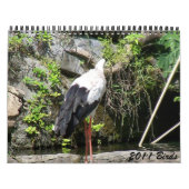 Vogels 2011 kalender (Hoes)