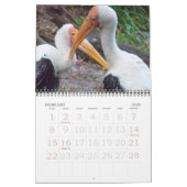 Vogels 2011 kalender (Feb 2026)