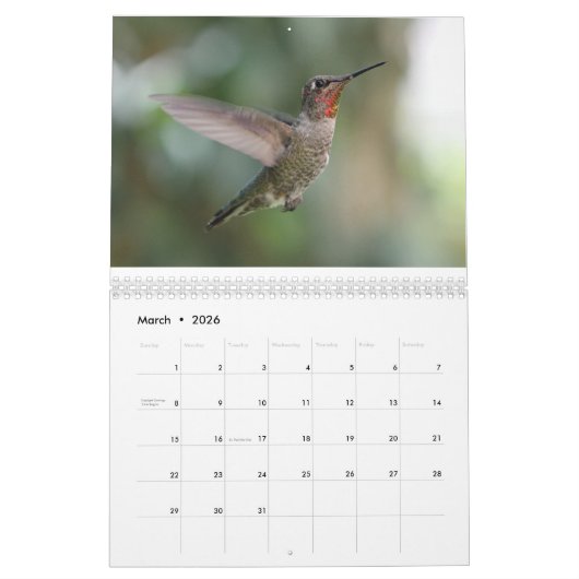 Vogels 2017 kalender (Mar 2026)