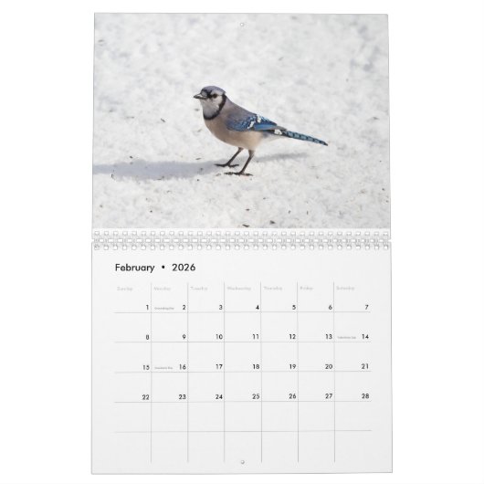 Vogels 2017 kalender (Feb 2026)