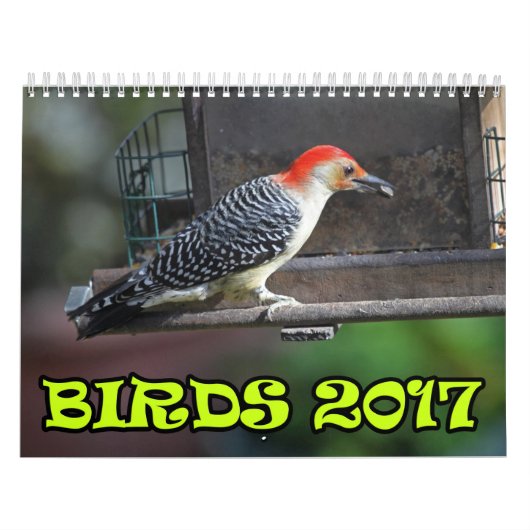 Vogels 2017 kalender (Hoes)