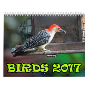 Vogels 2017 kalender