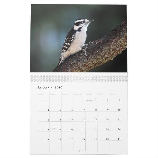 Vogels 2017 kalender (Jan 2026)