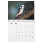 Vogels 2017 kalender (Jan 2027)
