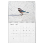 Vogels 2017 kalender (Feb 2027)
