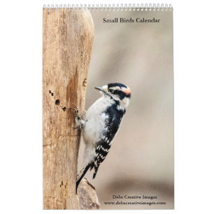 Vogels 2025 kalender