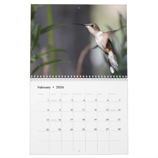 Vogels 2025 kalender (Feb 2026)