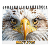 VOGELS 2025 KALENDER TWITCHERS DELIGHT!