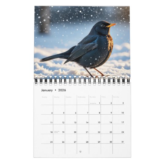 VOGELS 2025 KALENDER TWITCHERS DELIGHT! (Jan 2026)