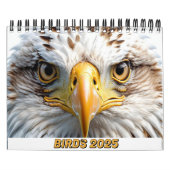 VOGELS 2025 KALENDER TWITCHERS DELIGHT! (Hoes)