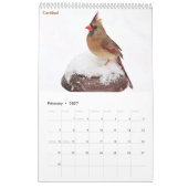 Vogels 2026 kalender (Feb 2027)