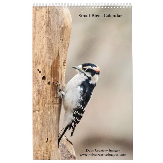 Vogels 2026 kalender (Hoes)