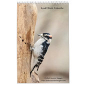 Vogels 2026 kalender (Hoes)