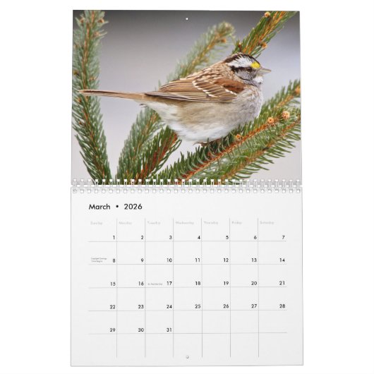Vogels 2026 kalender (Mar 2026)