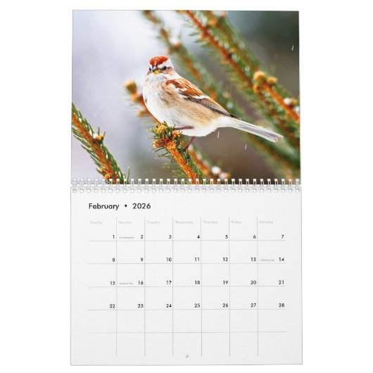 Vogels 2026 kalender (Feb 2026)