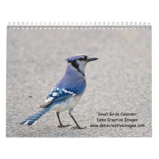 Vogels 2026 kalender (Hoes)